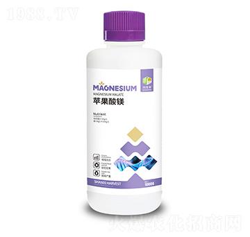 �O(p��ng)�����V-�����S-�ɿ����ʘI(y��)