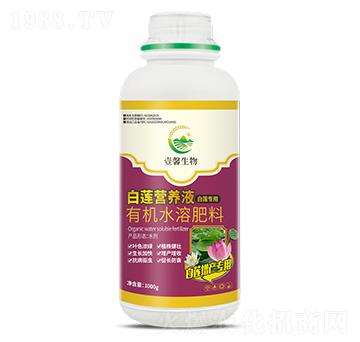 ��ɏ�I(y��ng)�B(y��ng)Һ-����������