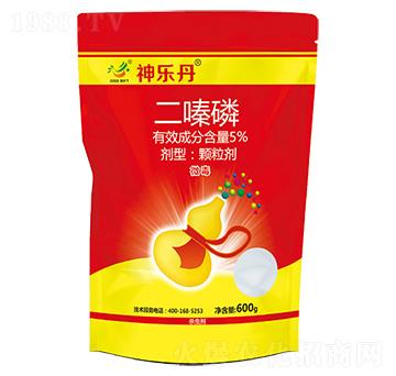 5%�����-�񘷵�-�־��r(n��ng)�I(y��)