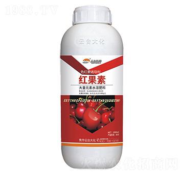 ɫ�t���T��(d��o)��-�t����-���_(t��i)��