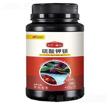 ������V-���_(t��i)��