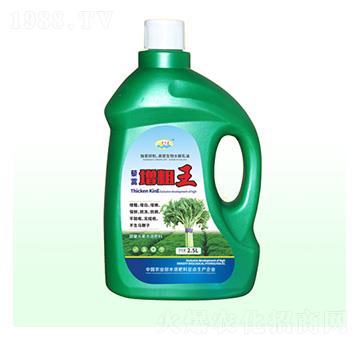 藜蒿增粗王-富源祥肥業(yè)