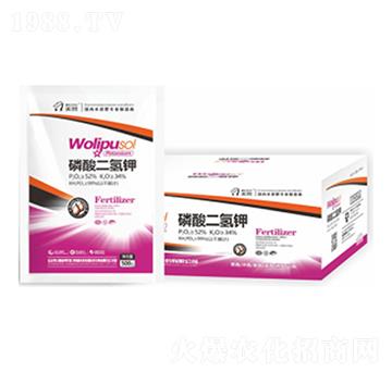 ��������-嫰�����