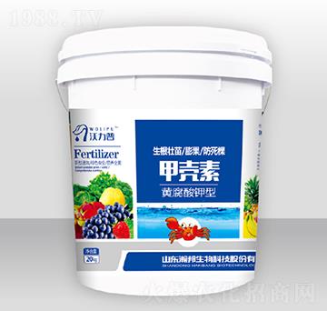 �ך���-嫰�����