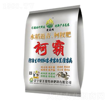 水稻返青柯杈肥-柯霸-愛美瑞