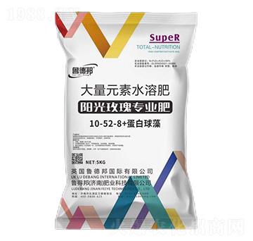 陽光玫瑰專用大量元素水溶肥料10-52-8+蛋白球藻-魯?shù)掳? />
                                </div>
                            </div>
                            
                            <style type=