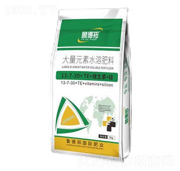 大量元素水溶肥料13-7-30+TE+維生素+硅-魯?shù)掳? />
                                </div>
                            </div>
                            
                            <style type=