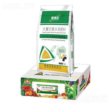 大量元素水溶肥料6-30-40+TE+維生素+蛋白球藻-魯?shù)掳? />
                                </div>
                            </div>
                            
                            <style type=