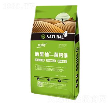 菌鈣鎂-地里仙-魯?shù)掳? />
                                </div>
                            </div>
                            
                            <style type=