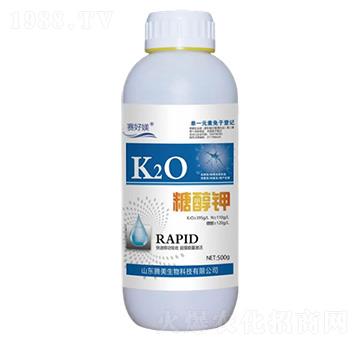 �Ǵ��-�v������