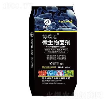 ΢�������-�����-��������