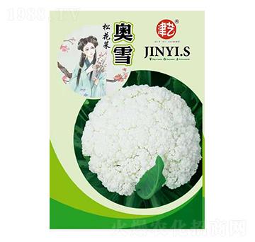 ���˷N��-�Wѩ-���S�r�I(y��)