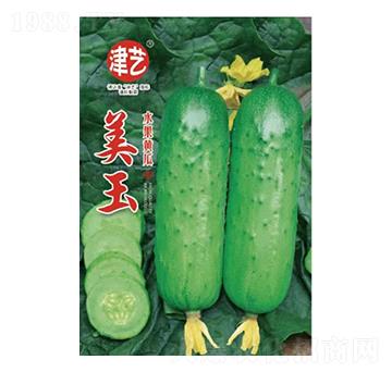 �S�ϷN��-����-���S�r�I(y��)