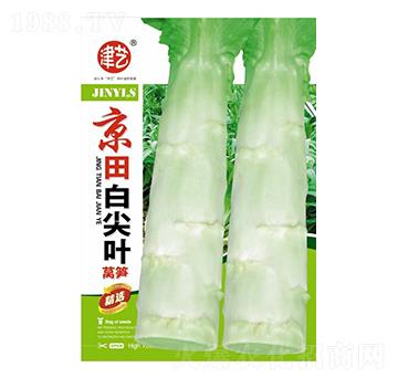 �n�S�N��-����׼��~-���S�r�I(y��)