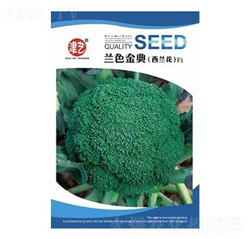 ���˷N��-�mɫ���-���S�r�I(y��)