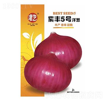 ���[�N��-���S5̖���[-���S�r�I(y��)