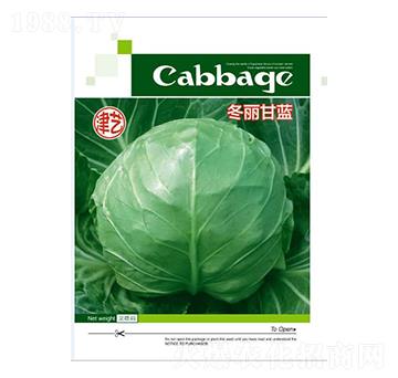 ���{�N��-�������{-���S�r�I(y��)