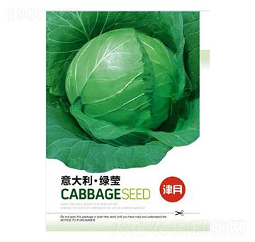 ���{�N��-������G��-���S�r�I(y��)