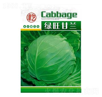 ���{�N��-�G�����{-���S�r�I(y��)