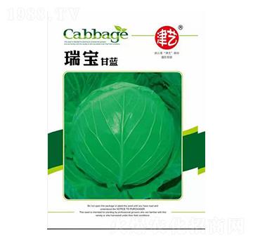 ���{�N��-�������{-���S�r�I(y��)