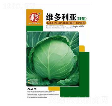 ���{�N��-�S������-���S�r�I(y��)