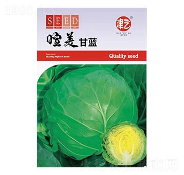 甘藍(lán)種子-喧美甘藍(lán)-邯豐農(nóng)業(yè)