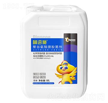 �۹Ȱ���Ĥ�z����-��Ѹʩ-�ع�������