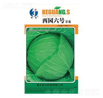 ���@��̖-�ƹ�N��