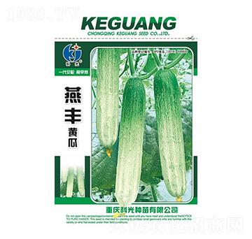 ���S�S��-�ƹ�N��