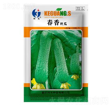 ����z��-�ƹ�N��