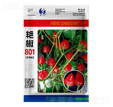 �G��801-�ƹ�N��