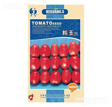 �������-�ƹ�N��