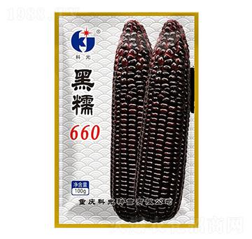 黑糯660-科光種苗