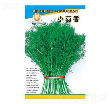 С����-̫���N�I(y��)