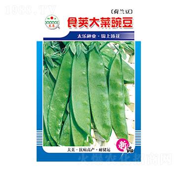 �㶹�N��-ʳ�v����㶹-̫���N�I(y��)