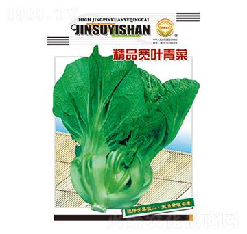青菜種子-精品寬葉青菜-太樂(lè)種業(yè)