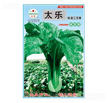 青菜種子-標準三月青-太樂種業(yè)
