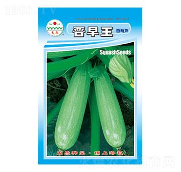 �����J�N��-�x����-̫���N�I(y��)