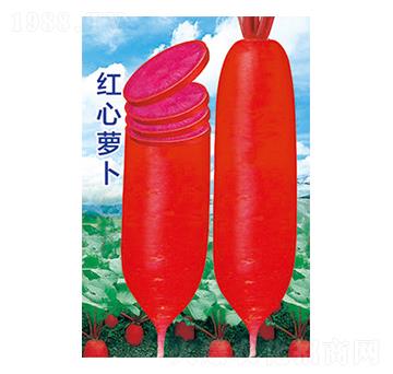 �}���N��-�t���}��-̫���N�I(y��)