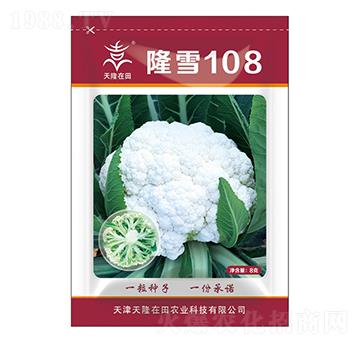 隆雪108-天隆在田-天隆農(nóng)業(yè)