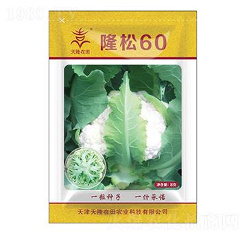 隆松60-天隆在田-天隆農(nóng)業(yè)