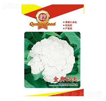 ���˷N��-���65��-���S�r(n��ng)�I(y��)