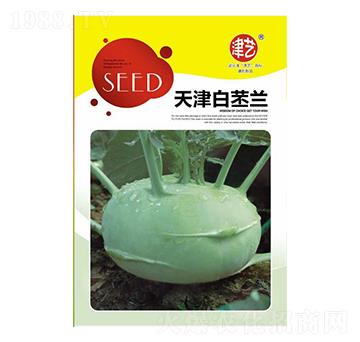 ���{�N��-�������{-���S�r(n��ng)�I(y��)