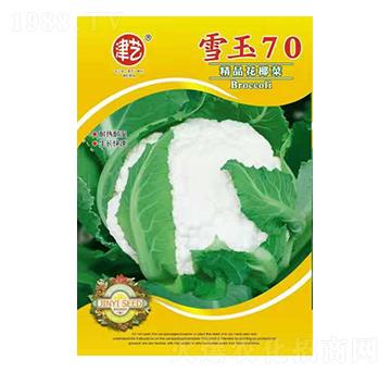 ���˷N��-ѩ��70-���S�r�I(y��)