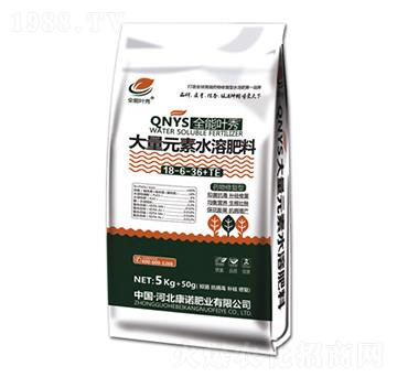 大量元素水溶肥料18-6-36+TE-葉秀-康諾肥業(yè)