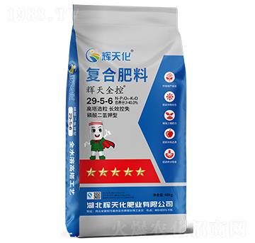 輝天全控復合肥料29-5-6-輝天化-頓貝