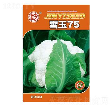 ���˷N��-ѩ��75-���S�r(n��ng)�I(y��)