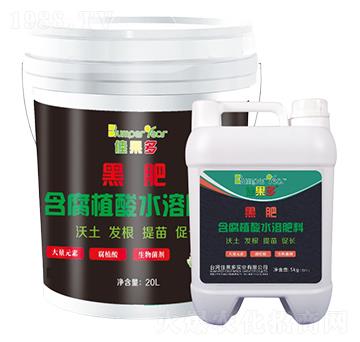 黑肥-佳果多