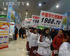 ���p���r(n��ng)���W(w��ng)�������P(y��ng)���ƏV·