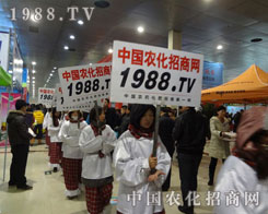 1988.TV������(zh��n)���������o��ֹ